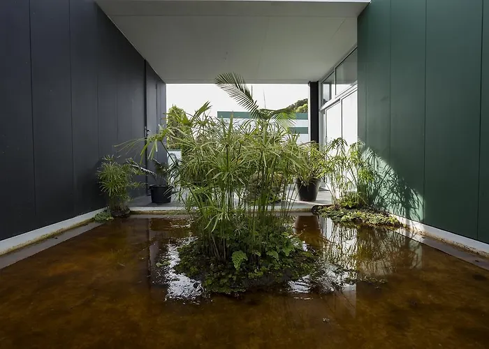 カントリーハウス Quinta De Santa Barbara *