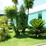 Quinta De Santa Bárbara Lagoa (Azores)