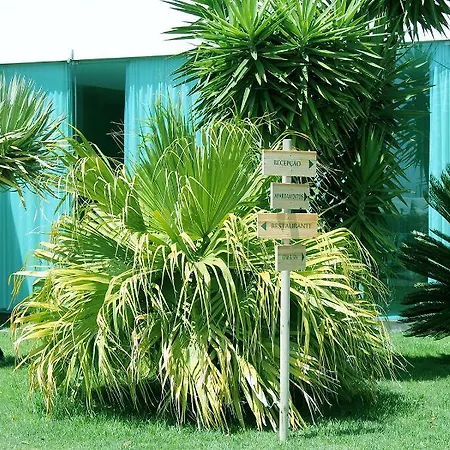 Quinta De Santa Barbara Country house Lagoa (Azores)